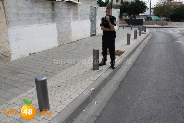 ta3n n 11123 (4).JPG